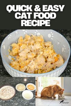 Quick & Easy Cat Food Recipe