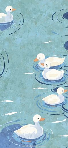 three white ducks floating on top of a body of water