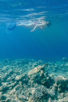 a woman swimming in the ocean with her head above the water's surface and corals