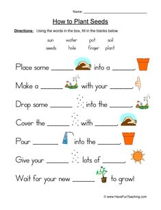 plant seeds worksheet for kids to learn how to grow plants in the garden