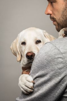 a man holding a white dog in his arms and looking at the camera while wearing a gray sweater