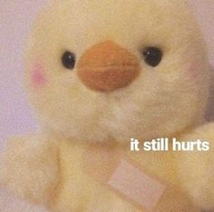 there is a stuffed duck that says it still hurts