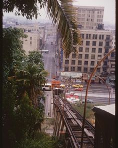 a train track running through a city with tall buildings and palm trees in the foreground