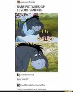 an image of someones birthday cake with the horse on it and another photo of them