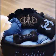 a teddy bear is sitting in a black and blue dog bed with the name lady faddu written on it