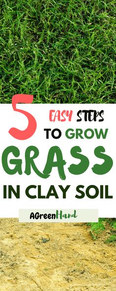 a sign that says 5 easy tips to grow grass in clay soil