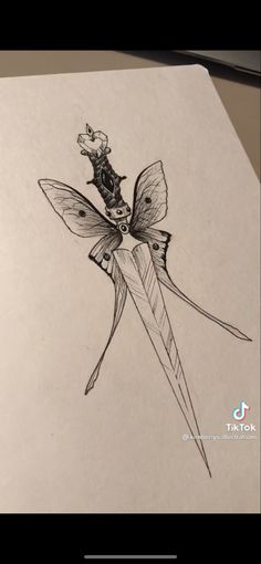 a pencil drawing of a butterfly on a piece of paper