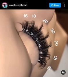 Mega Lash Mapping, Mega Wispy Lash Map, Lash Extension Maps, Mega Lash Map, Mega Volume Wispy Eyelash Extensions Mapping, Lash Extensions Room, Lash Anatomy, Mega Volume Lash Mapping, Long Mega Volume Lash Extensions Mapping