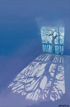 the shadow of a tree is cast on the floor