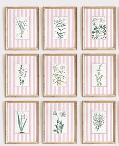 six framed floral prints in pink and white stripes