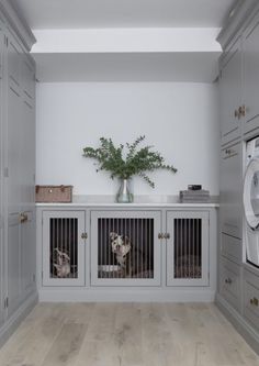 a laundry room with two dogs in their kennels