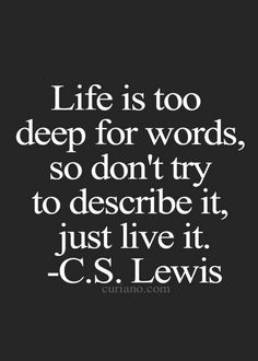 a quote that says life is too deep for words, so don't try to describe