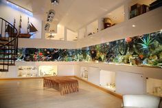 a room filled with lots of different types of fish