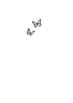 two butterflies flying in the sky on a white background