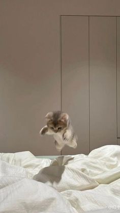 a kitten jumping up into the air on top of a white bed in a bedroom