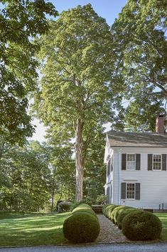 a large white house sitting next to a lush green forest