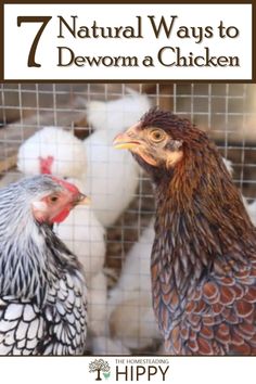 two chickens standing next to each other in a cage with the words 7 natural ways to de