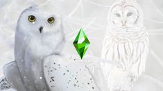 two owls sitting next to each other on a tree branch with an emerald in the middle