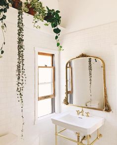 a bathroom with a sink, mirror and plants hanging from the ceiling