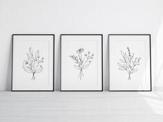 three black and white botanical prints on the wall