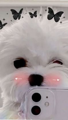 a small white dog is taking a selfie with its cell phone in it's mouth