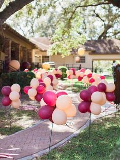 balloons are lined up in the yard for a party