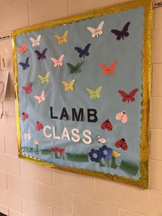 a bulletin board with butterflies and ladybugs on it in a school hallway that says lamb class