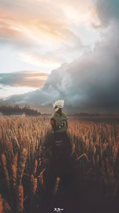 a person standing in a field looking up at the sky with clouds above them and an overcast sky