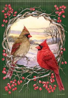 two cardinal birds sitting on branches with berries around them, surrounded by holly wreaths