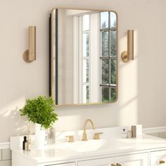 a bathroom with a sink, mirror and potted plant