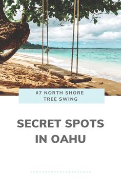 the beach with hammock trees and text that reads, 7 north shore tree swings in oahuu