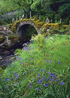 a stone bridge over a small stream surrounded by flowers and greenery in the woods