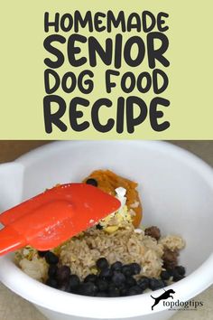 Homemade Senior Dog Food Recipe Healthy Homemade Dog Food For Older Dogs, Homemade Dog Food With Fruit, Dog Treats For Senior Dogs, Homemade Dog Food Recipes For Older Dogs, Healthy Dog Food Recipes For Senior Dogs, Senior Dog Food Recipes Homemade, Homemade Dog Vitamins, Homemade Dog Food Recipes For Small Senior Dogs, Homemade Dog Food For Older Dogs