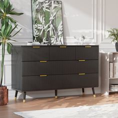 a living room scene with focus on the chest of drawers and potted plant in the corner