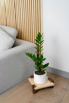 a potted plant sitting on top of a wooden stand in front of a couch