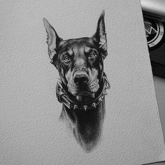 a black and white drawing of a dog's head with collars on it