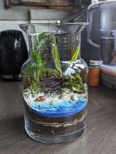 a glass vase filled with plants and rocks