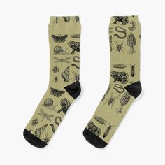 Super soft all-over printed knit socks with extra cushioning in the sole. Suitable for men and women. Vintage biological illustrations of a frog, mushroom, snail, insects, worm, dragonly, spider and other cool critters. Perfect for any outdoor explorer, wildlife lover, frog or toad owner, herpetologist, biologist, student, teacher. Retro minimal graphic design is perfect for a camping or hiking trip, exploring the backyard, adventure in the forest. Cool gift idea for any boy or girl, teen, grand Goblincore Gifts, Cute Frog Mushroom, Vintage Biology, Mushroom Snail, Moth Insect, Frog Mushroom, Minimal Graphic Design, Goblincore Aesthetic, Silly Socks