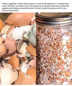 a jar filled with lots of dirt next to a pile of eggs