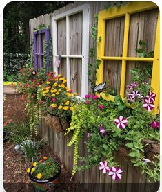 an assortment of colorful flowers in front of a wooden fence with a window on the side