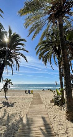 a wooden walkway leading to the beach with palm trees