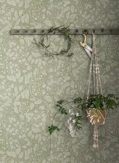 two plants are hanging on a wall with hooks and string attached to it, in front of a green patterned wallpaper