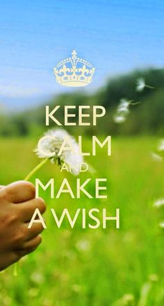 a person holding a dandelion with the words keep calm and make awish