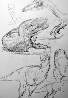 three different types of dinosaurs are depicted in this drawing