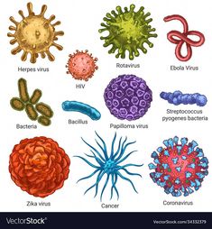 an image of different types of germs