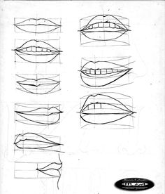 an image of different types of lips drawn in pencil on white paper with black border