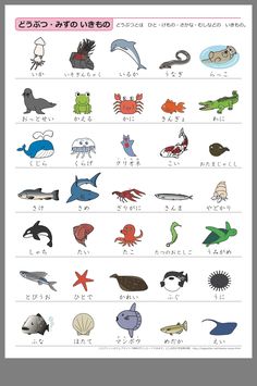 an image of different types of animals in japanese