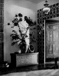 black and white photograph of a plant in a vase on a table next to a mirror