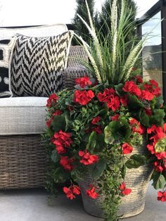 some red flowers are in a pot on the patio