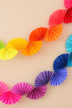 multicolored paper fans hanging on the wall